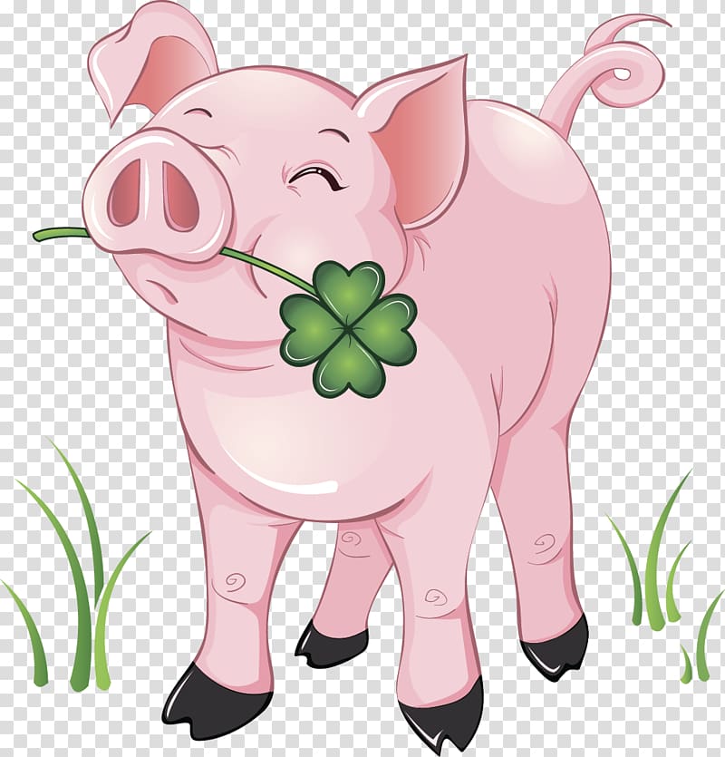 Domestic pig , pig transparent background PNG clipart