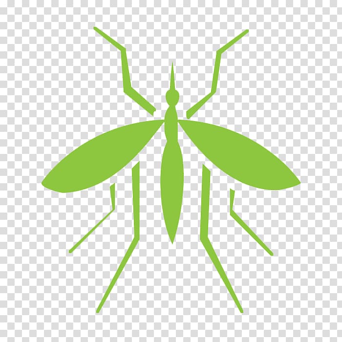 Mosquito Insect Pest Control Cockroach, mosquito transparent background PNG clipart