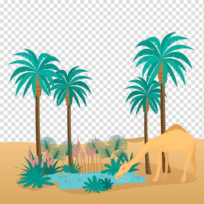oasis clipart