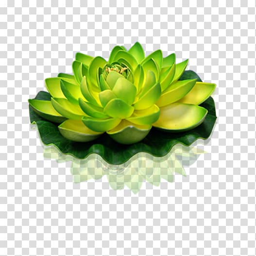 Green Lantern Sacred Lotus Flower Candle, flower transparent background PNG clipart