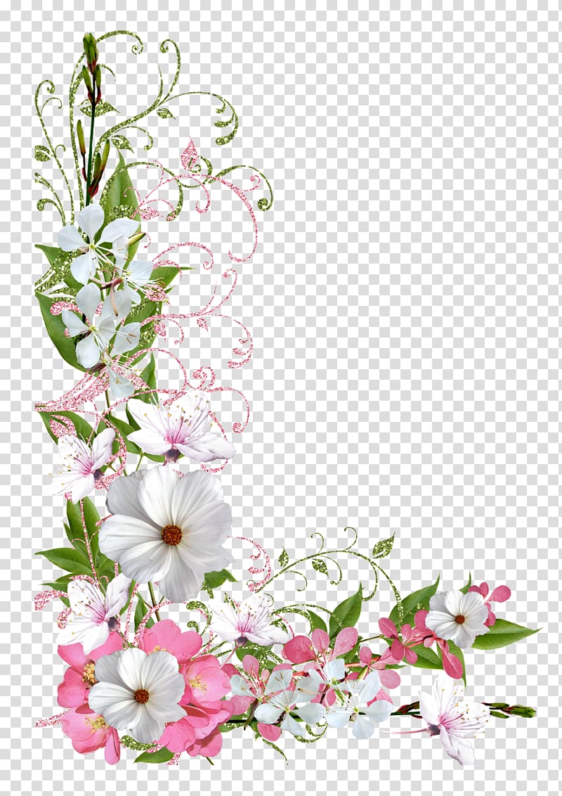 white and pink flowers 