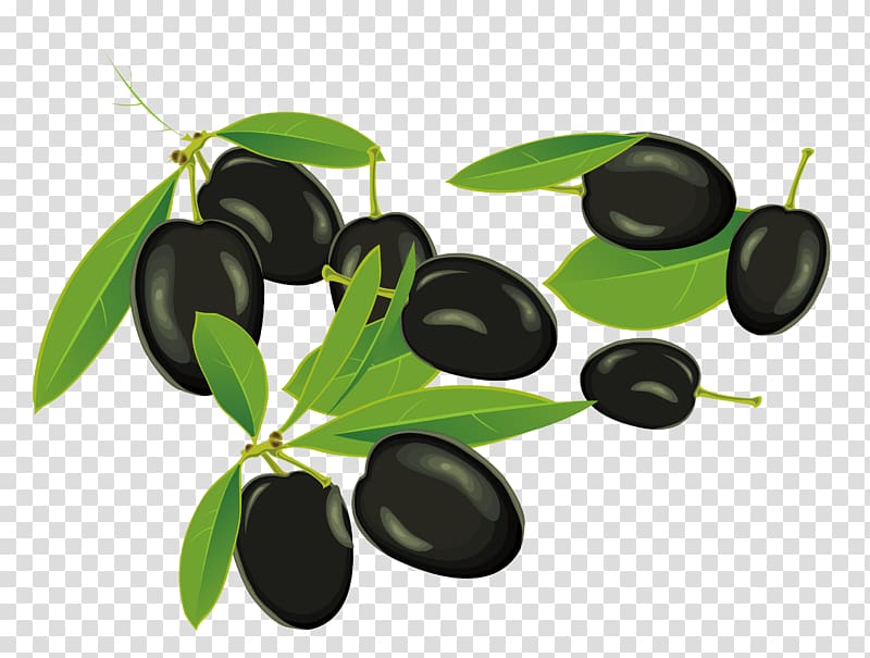 Fruit Olive, olive beans transparent background PNG clipart