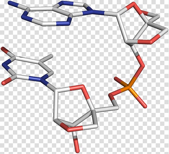 Locked nucleic acid Oligonucleotide Three-dimensional space Nucleic acid analogue, others transparent background PNG clipart