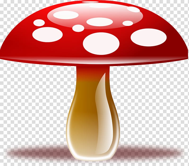 Edible mushroom , Red mushroom transparent background PNG clipart