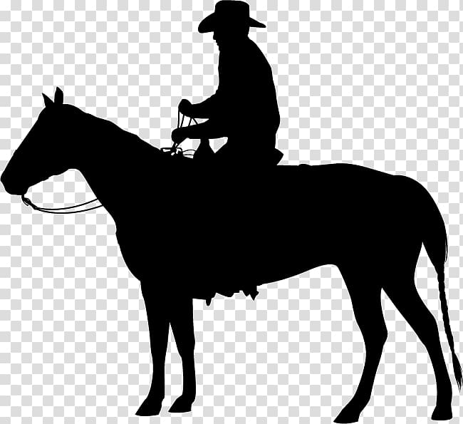 Horse Equestrian Western pleasure , horse transparent background PNG clipart