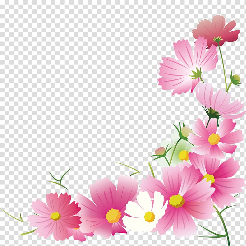 Garden Cosmos Flower Floral design Illustration Autumn, flowers of season transparent background PNG clipart