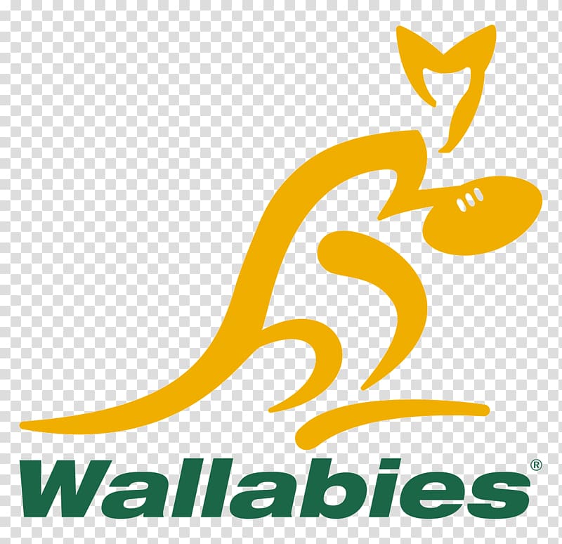 Australia national rugby union team 2017 Rugby Championship Argentina national rugby union team South Africa national rugby union team, Bein Sport transparent background PNG clipart
