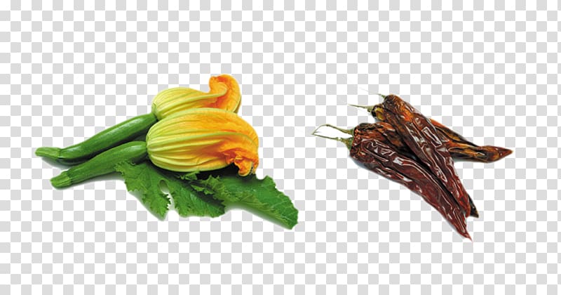 Italian cuisine Stuffing Squash blossom Zucchini Flower, green vegetables transparent background PNG clipart