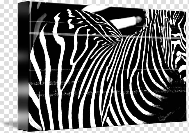 Zebra Brand , animal stripes transparent background PNG clipart