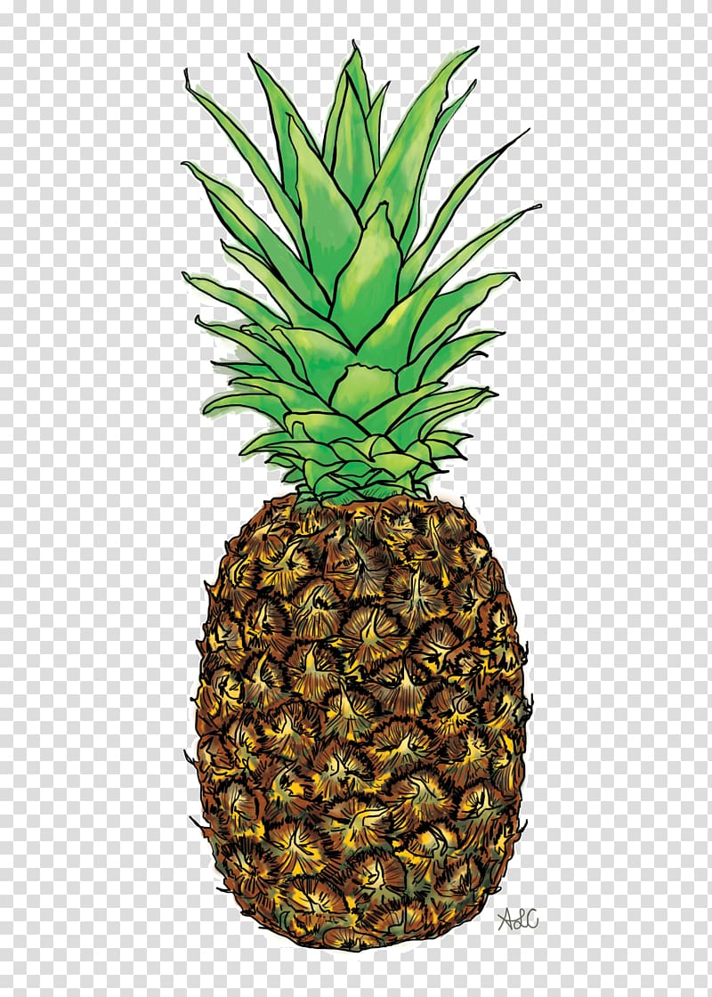 Pineapple Graphic design Painting Wacom Cintiq Companion Hybrid 32 GB, Android 4.2 (Jelly Bean), pineapple transparent background PNG clipart