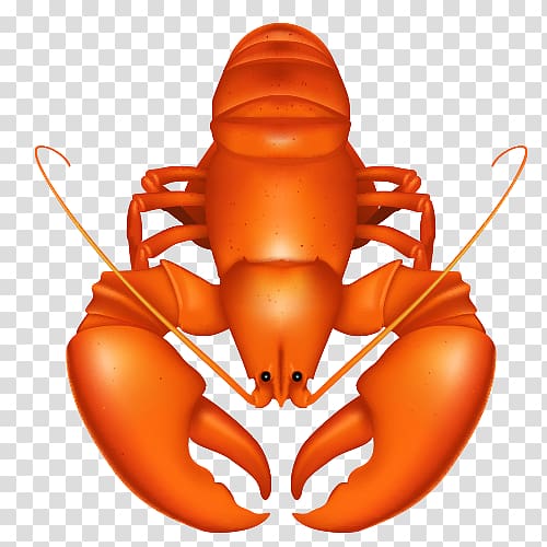 Lobster Seafood Free content , Cartoon lobster transparent background PNG clipart