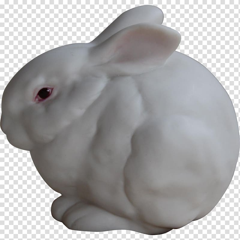 Domestic rabbit Hare Pet Animal, rabbit transparent background PNG clipart