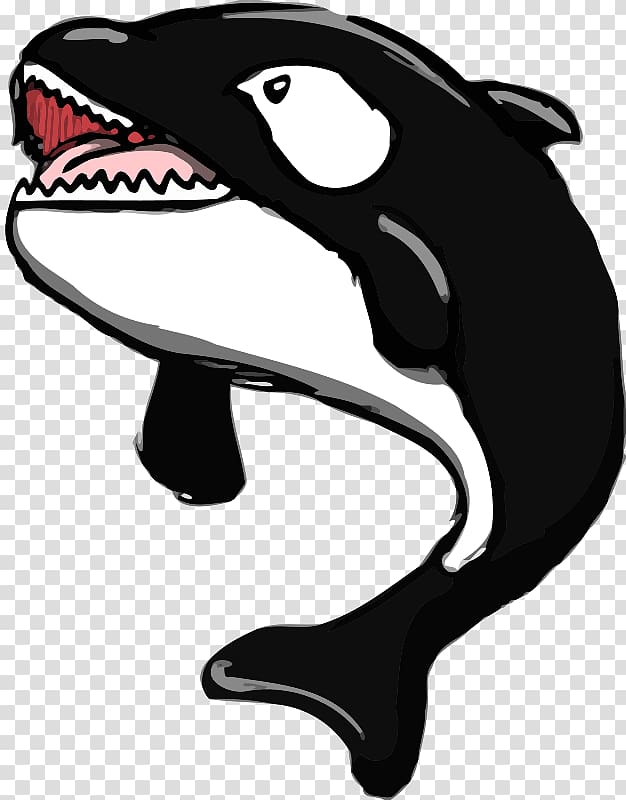 Killer whale Whale watching , whale transparent background PNG clipart