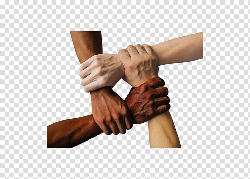 Race United States Bias Racism Business, race transparent background PNG clipart