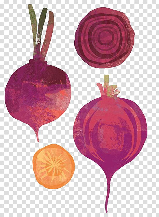 Beetroot Vegetable onion Shallot Illustration, onion transparent background PNG clipart