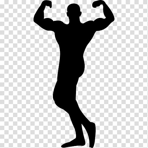 Bodybuilding Olympic weightlifting Computer Icons Weight training, bodybuilding transparent background PNG clipart