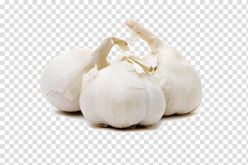 Garlic Vegetable Seasoning Food Herb, Three garlic transparent background PNG clipart