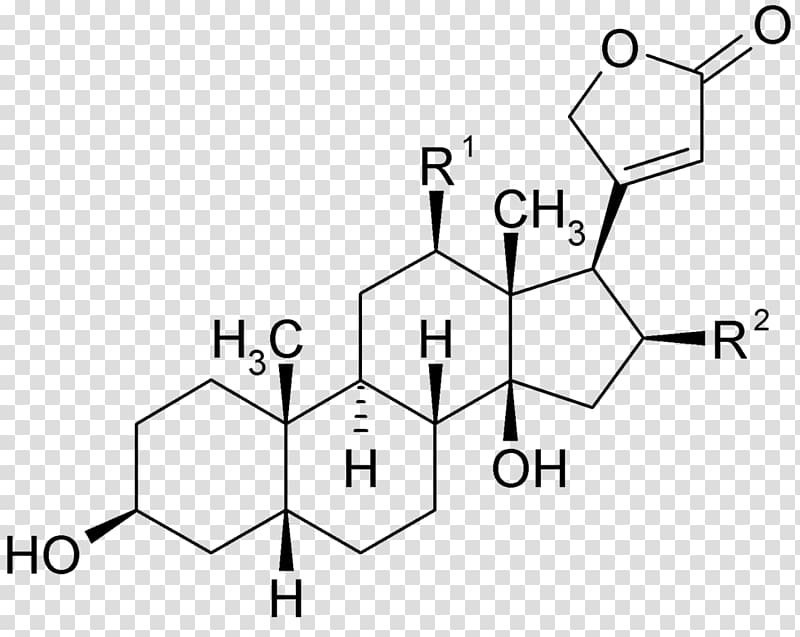 The Great Testosterone Myth Estradiol Estrogen Hormone Structural formula, foxglove transparent background PNG clipart