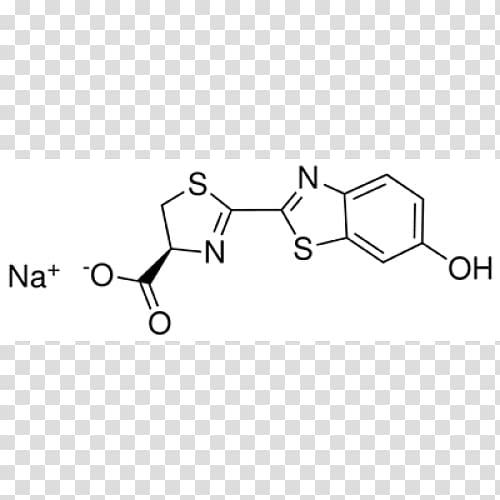 Firefly luciferin Catalysis Bioluminescence, others transparent background PNG clipart
