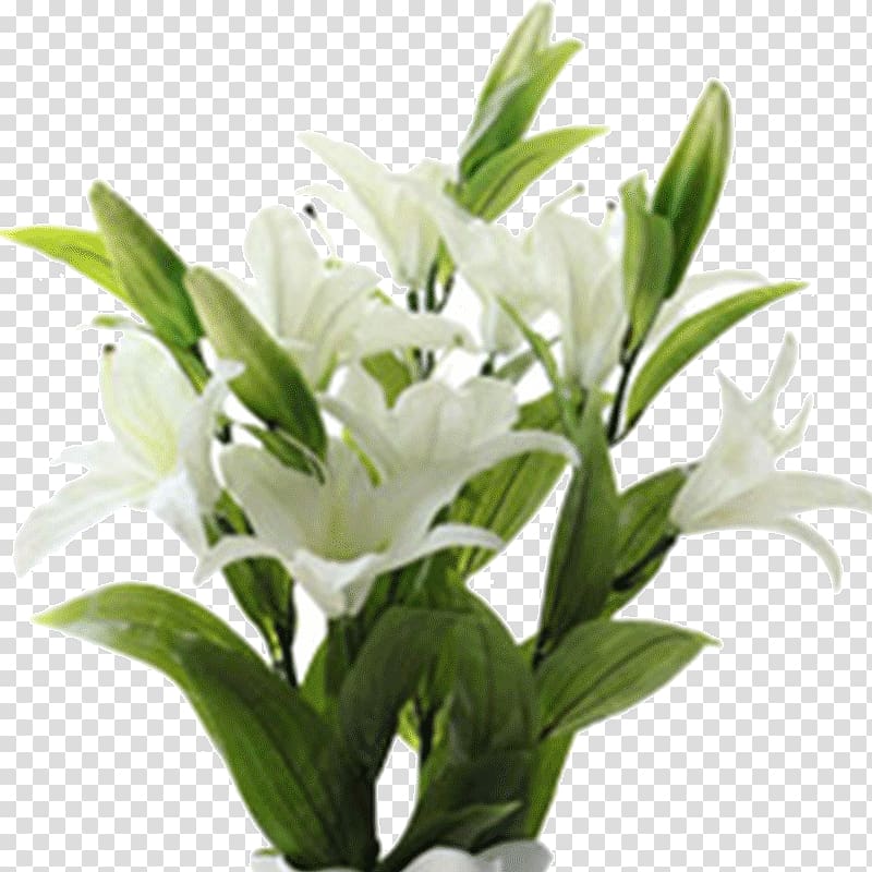 Cut flowers Lilium Floral design Plant, taobao decoration transparent background PNG clipart