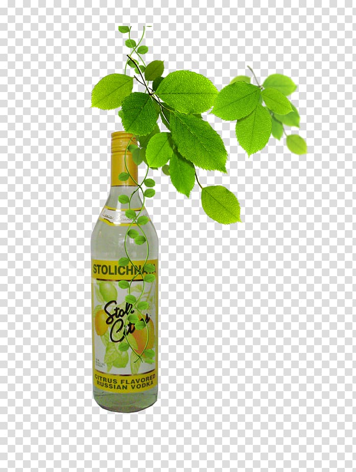 Soft drink Apple juice Carbonated drink Lemon-lime drink, Juice drinks soda transparent background PNG clipart