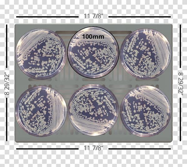 Enterobacter cloacae plastic Product Blue and white pottery Tableware, Petri Dishes transparent background PNG clipart
