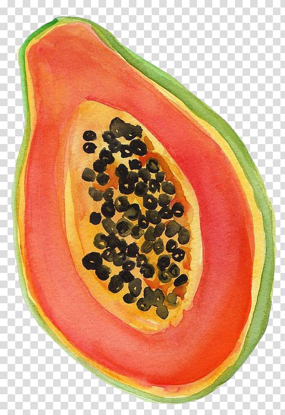green papaya illustration, Papaya Watermelon Drawing Watercolor painting, Hand-painted half a papaya transparent background PNG clipart