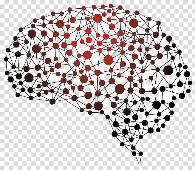 Human brain Neuropsychology Nervous system BRAIN Initiative, Brain transparent background PNG clipart