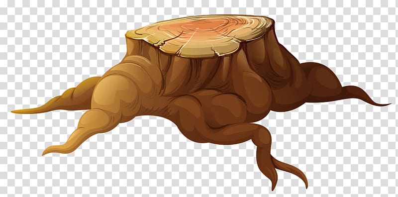 brown tree trunk , Tree stump Trunk , Tree Stump transparent background PNG clipart