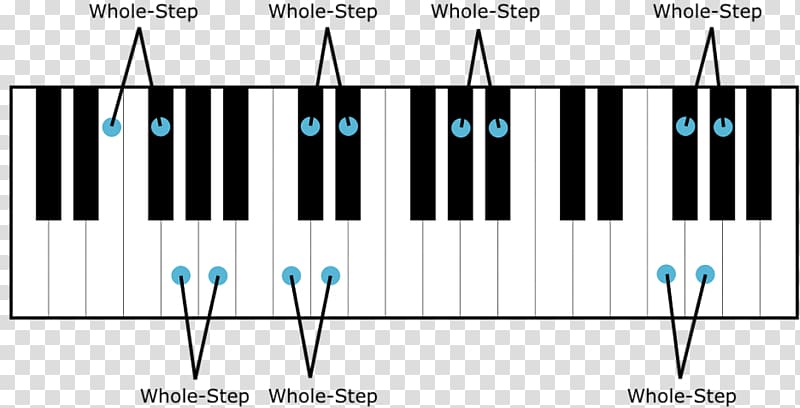 Musical keyboard Semitone Piano Whole tone scale, piano key transparent background PNG clipart