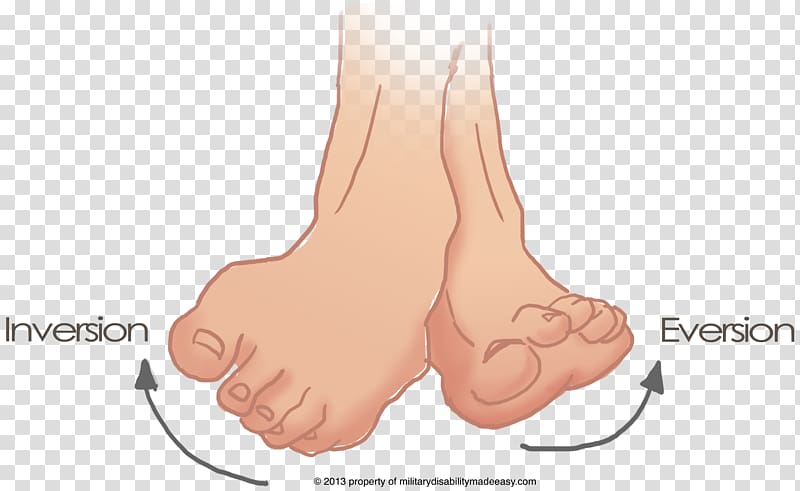 Inversion Foot Eversion Sprained ankle, others transparent background PNG clipart