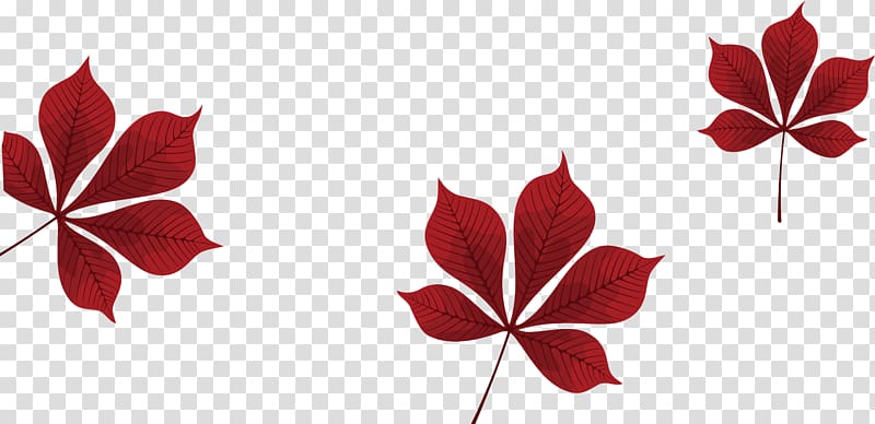 Petal Red Leaf Pattern, Red leaves transparent background PNG clipart
