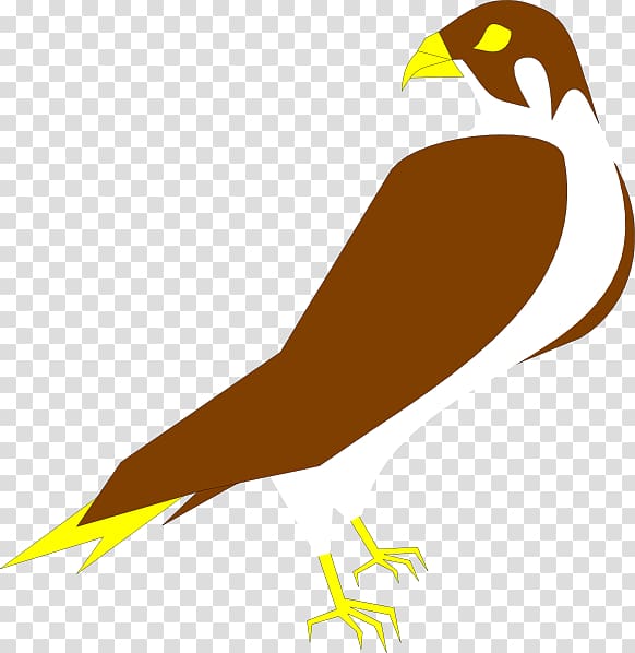 Peregrine falcon , falcon transparent background PNG clipart