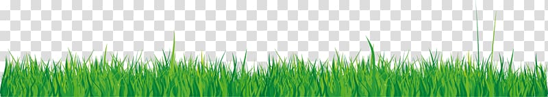 Wheatgrass Green , green grass elements transparent background PNG clipart