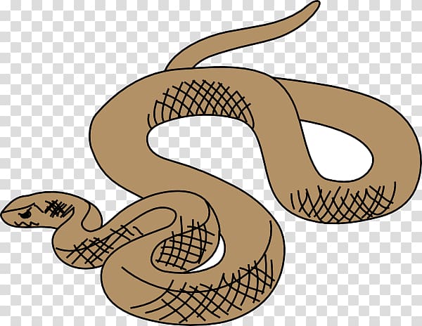 Eastern brown snake , Cartoon Snake transparent background PNG clipart