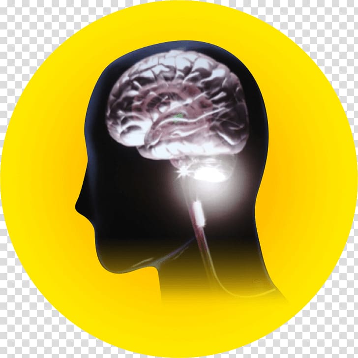 バランス整体院エール 生命エネルギー工業（株）堺工場 Neurology Brainstem Nerve, Bison Ten Yell Day transparent background PNG clipart
