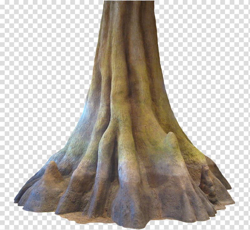 Mediterranean cypress Tree Wood Bald cypress Forest, cypress transparent background PNG clipart