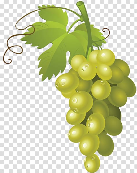 White wine Muscat Grape , grape transparent background PNG clipart