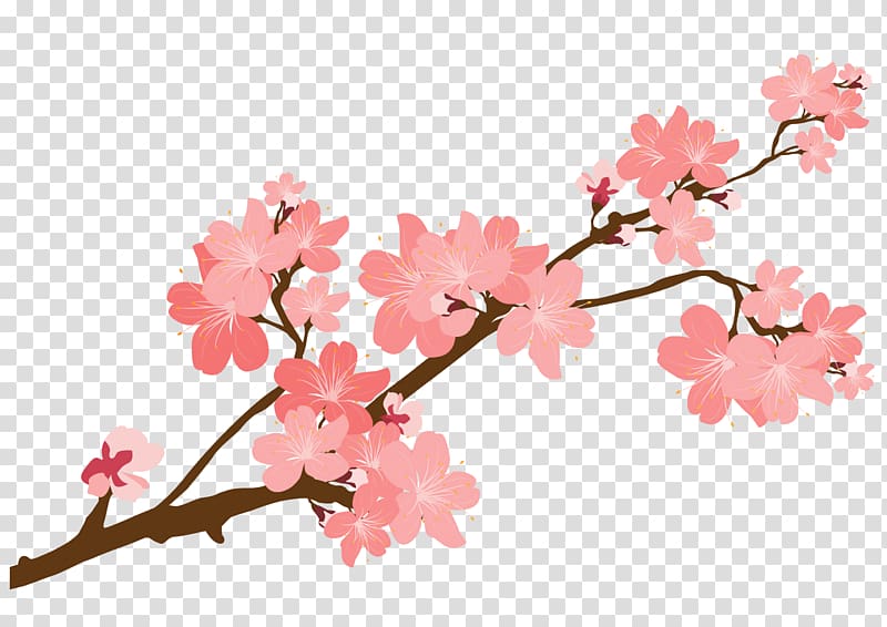 cherry blossom tree branch illustration, Cherry blossom Sticker , Cherry flowers transparent background PNG clipart
