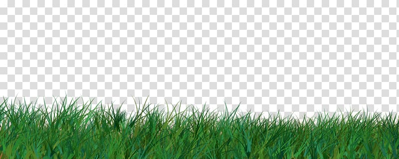 Easter Bunny Easter egg Eastertide , grass transparent background PNG clipart