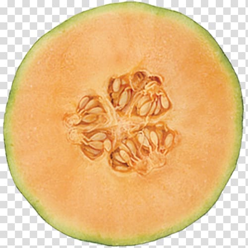 Cantaloupe Honeydew Galia melon Canary melon, Cantaloupe melon transparent background PNG clipart