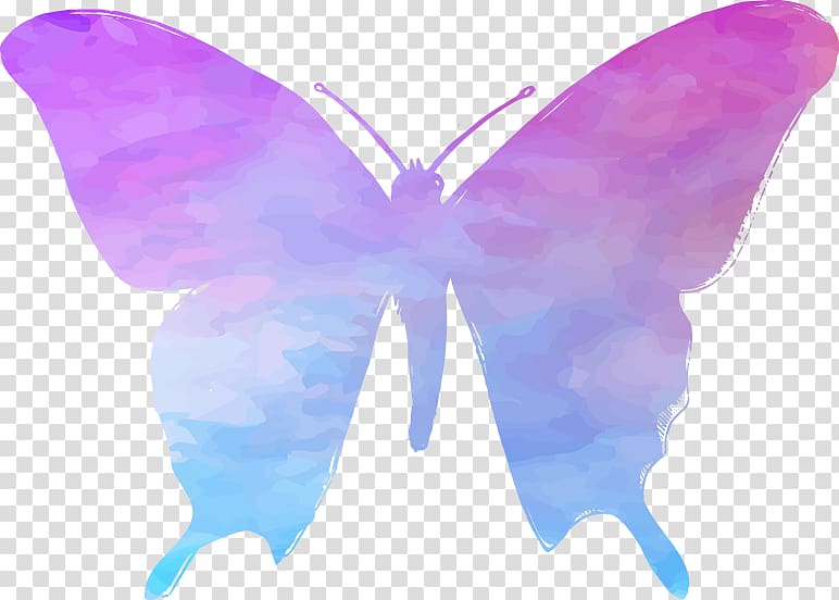 Healing Texel Symmetry Fairy 2M Moth, tex transparent background PNG clipart