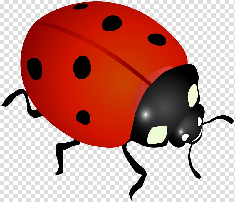 Ladybird Desktop , leaves and ladybugs transparent background PNG clipart