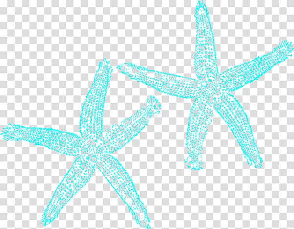 Turquoise Starfish , Turquoise transparent background PNG clipart