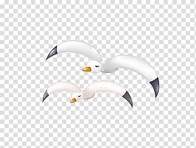 Gulls Bird European Herring Gull Common gull, Cartoon gulls transparent background PNG clipart