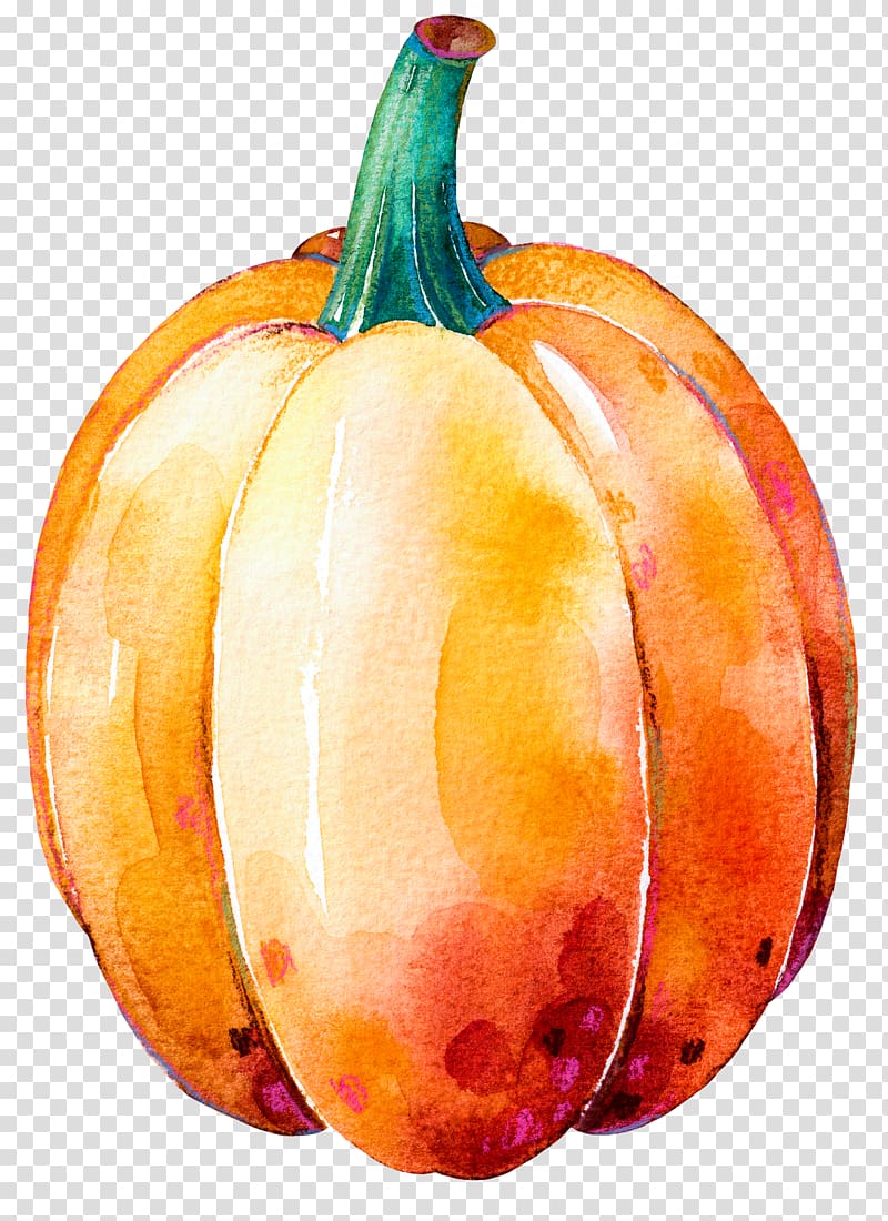 orange pumpkin , Pumpkin Calabaza Gourd Winter squash Thanksgiving dinner, Painted pumpkin transparent background PNG clipart