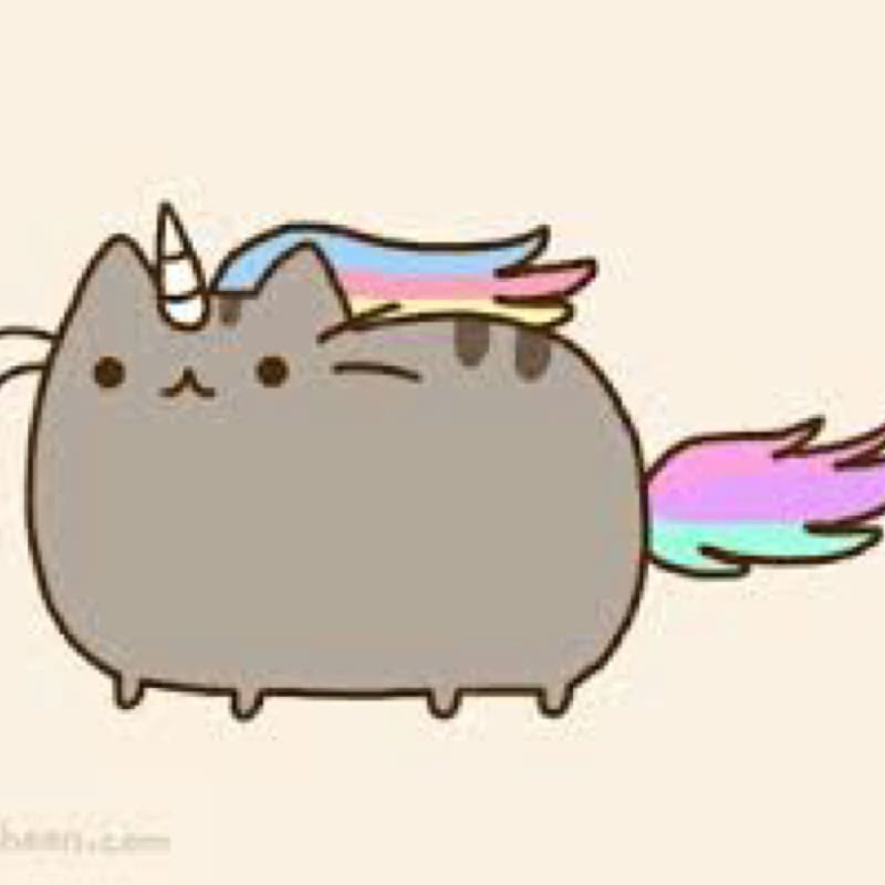 Birman Kittens and Kittens Pusheen Cuteness, ferret transparent background PNG clipart