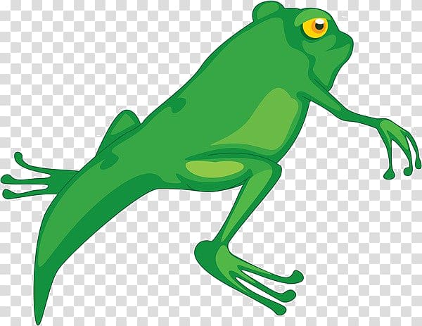 Frog Tadpole Cartoon , Cartoon lizard material transparent background PNG clipart
