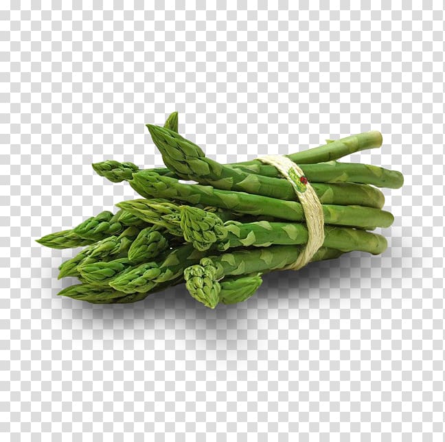 Asparagus Leaf vegetable Vitamin E, vegetable transparent background PNG clipart