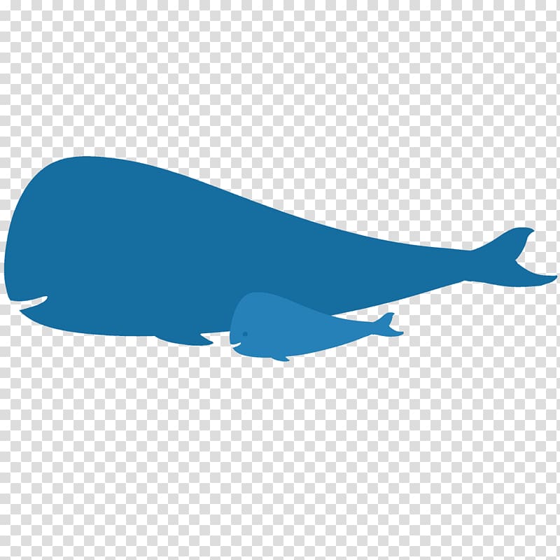 Sperm whale Cetacea Silhouette Blue whale, illust transparent background PNG clipart